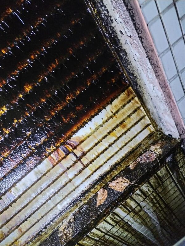 WhatsApp Image 2023-12-19 at 8.22.30 PM (2)