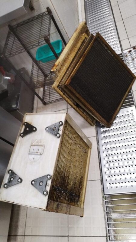 WhatsApp Image 2023-12-19 at 8.22.31 PM (1)