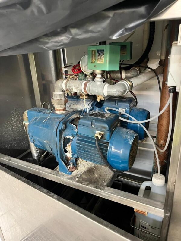 WhatsApp Image 2023-12-19 at 8.24.50 PM (1)