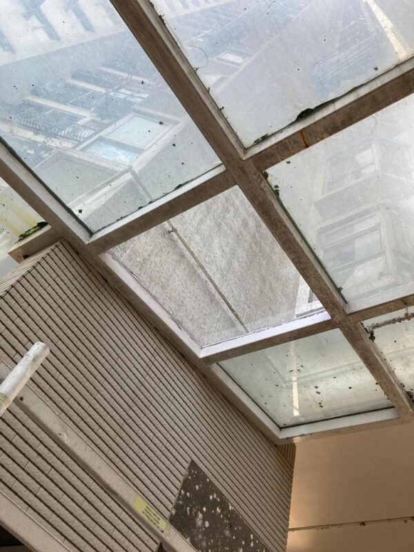 WhatsApp Image 2023-12-19 at 8.50.08 PM (11)