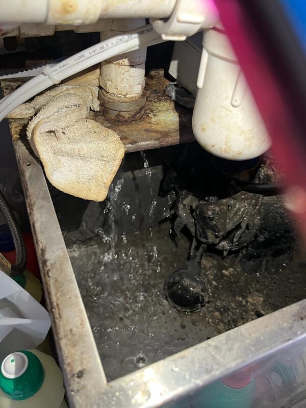 WhatsApp Image 2023-12-19 at 8.51.17 PM (2)