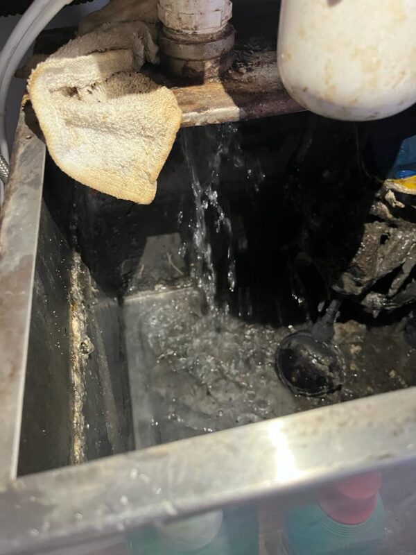 WhatsApp Image 2023-12-19 at 8.51.17 PM